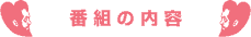 番組の内容